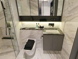 The Landmark (D3), Condominium #519901581